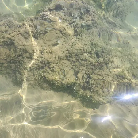 Punta Piccola Sul Mare Дом отдыха *